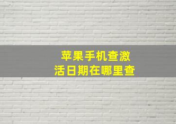 苹果手机查激活日期在哪里查