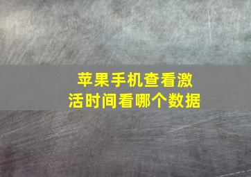 苹果手机查看激活时间看哪个数据