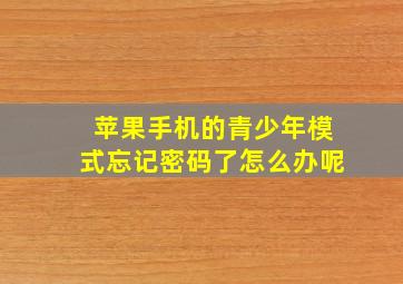 苹果手机的青少年模式忘记密码了怎么办呢