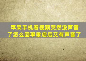 苹果手机看视频突然没声音了怎么回事重启后又有声音了