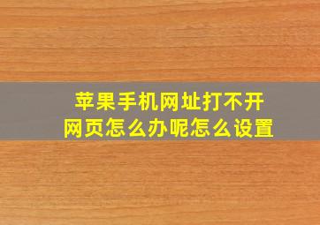 苹果手机网址打不开网页怎么办呢怎么设置