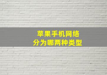 苹果手机网络分为哪两种类型