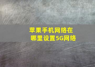 苹果手机网络在哪里设置5G网络