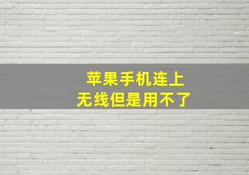 苹果手机连上无线但是用不了