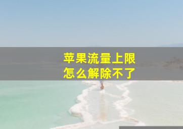 苹果流量上限怎么解除不了