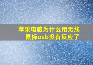 苹果电脑为什么用无线鼠标usb没有反应了