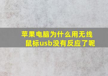 苹果电脑为什么用无线鼠标usb没有反应了呢