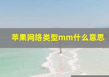 苹果网络类型mm什么意思