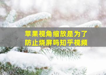 苹果视角缩放是为了防止烧屏吗知乎视频