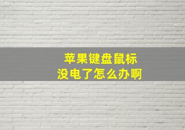 苹果键盘鼠标没电了怎么办啊