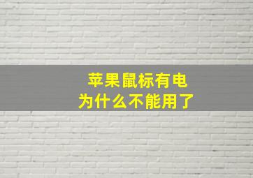 苹果鼠标有电为什么不能用了