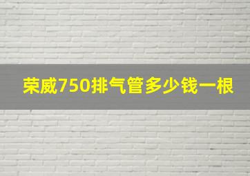 荣威750排气管多少钱一根