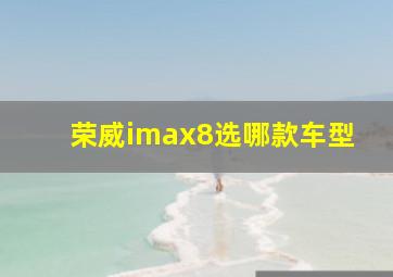 荣威imax8选哪款车型