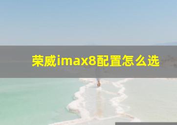 荣威imax8配置怎么选