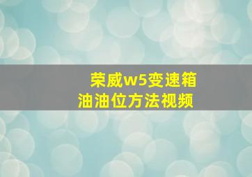 荣威w5变速箱油油位方法视频