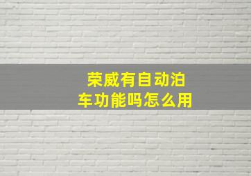 荣威有自动泊车功能吗怎么用