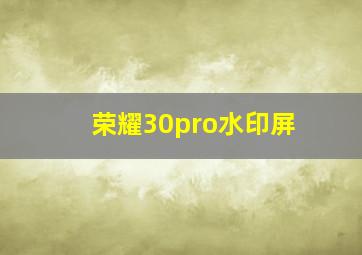 荣耀30pro水印屏