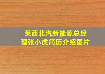 莱西北汽新能源总经理张小虎简历介绍图片