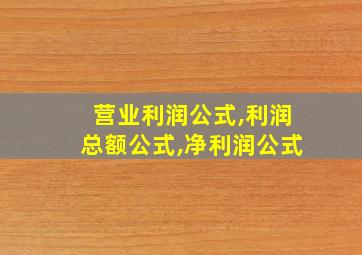 营业利润公式,利润总额公式,净利润公式