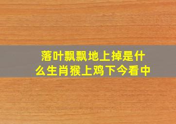 落叶飘飘地上掉是什么生肖猴上鸡下今看中