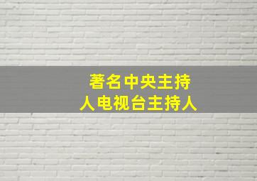 著名中央主持人电视台主持人