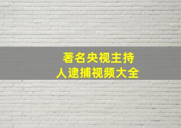 著名央视主持人逮捕视频大全