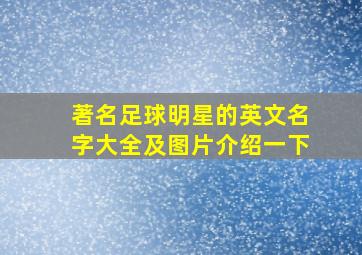 著名足球明星的英文名字大全及图片介绍一下