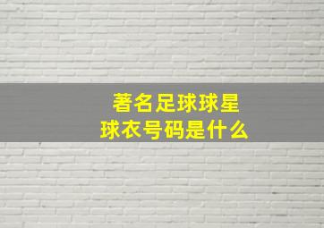 著名足球球星球衣号码是什么