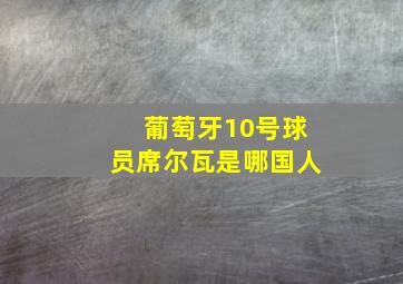 葡萄牙10号球员席尔瓦是哪国人