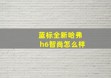 蓝标全新哈弗h6智尚怎么样