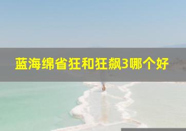 蓝海绵省狂和狂飙3哪个好