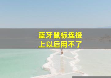 蓝牙鼠标连接上以后用不了