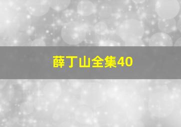 薛丁山全集40