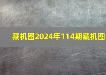 藏机图2024年114期藏机图