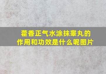 藿香正气水涂抹睾丸的作用和功效是什么呢图片