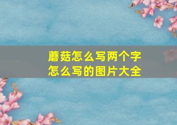 蘑菇怎么写两个字怎么写的图片大全