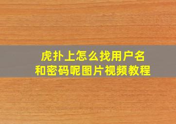 虎扑上怎么找用户名和密码呢图片视频教程