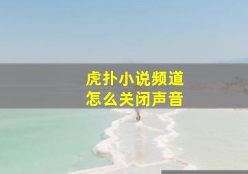 虎扑小说频道怎么关闭声音