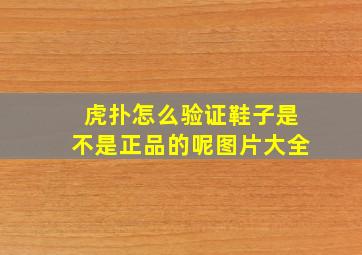 虎扑怎么验证鞋子是不是正品的呢图片大全