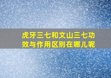 虎牙三七和文山三七功效与作用区别在哪儿呢