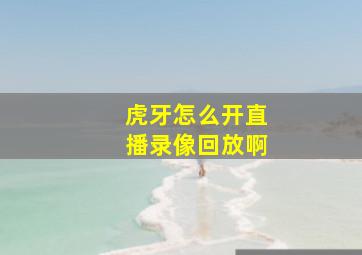 虎牙怎么开直播录像回放啊