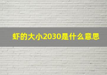 虾的大小2030是什么意思