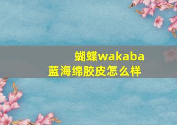 蝴蝶wakaba蓝海绵胶皮怎么样