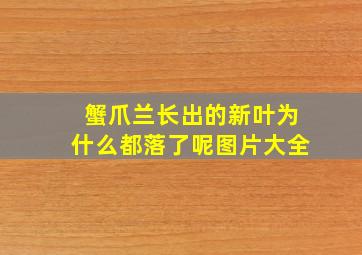 蟹爪兰长出的新叶为什么都落了呢图片大全