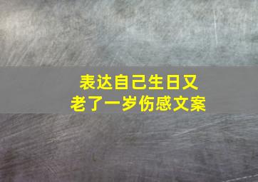 表达自己生日又老了一岁伤感文案