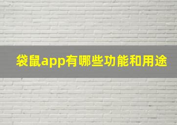 袋鼠app有哪些功能和用途