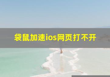 袋鼠加速ios网页打不开