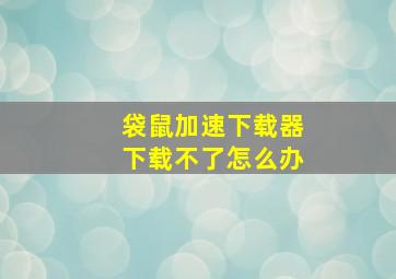 袋鼠加速下载器下载不了怎么办