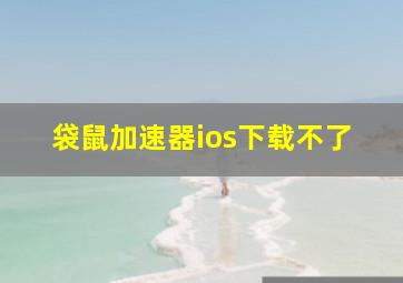 袋鼠加速器ios下载不了