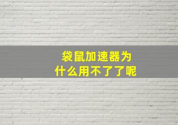 袋鼠加速器为什么用不了了呢